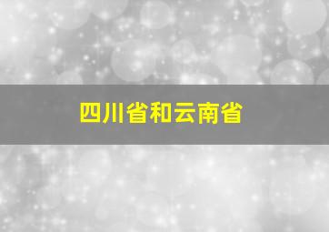 四川省和云南省