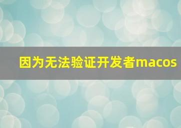 因为无法验证开发者macos