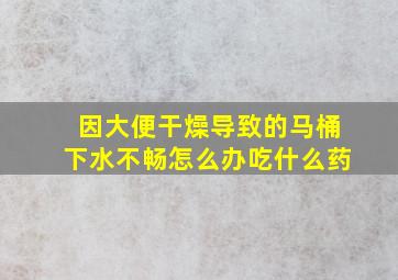 因大便干燥导致的马桶下水不畅怎么办吃什么药