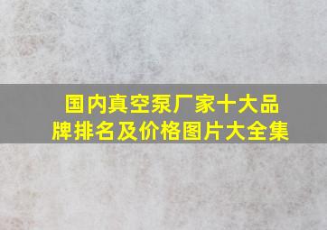 国内真空泵厂家十大品牌排名及价格图片大全集