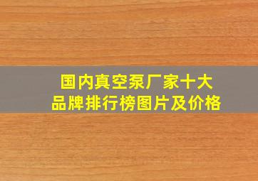 国内真空泵厂家十大品牌排行榜图片及价格