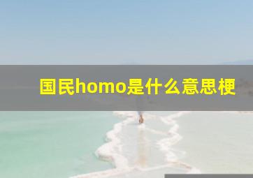 国民homo是什么意思梗