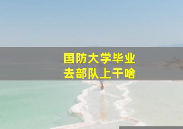 国防大学毕业去部队上干啥