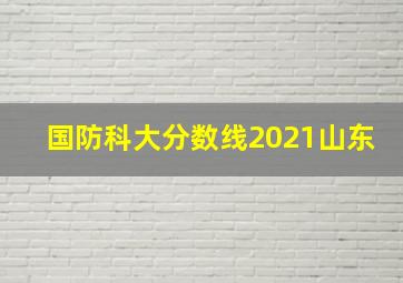 国防科大分数线2021山东