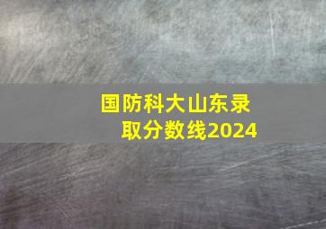 国防科大山东录取分数线2024