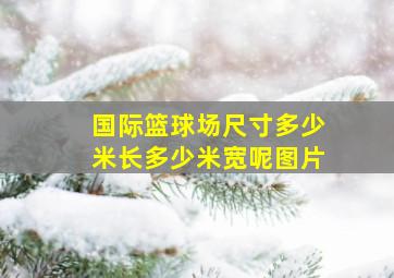 国际篮球场尺寸多少米长多少米宽呢图片