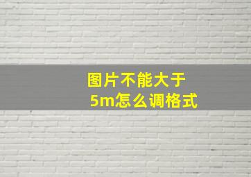 图片不能大于5m怎么调格式