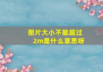 图片大小不能超过2m是什么意思呀