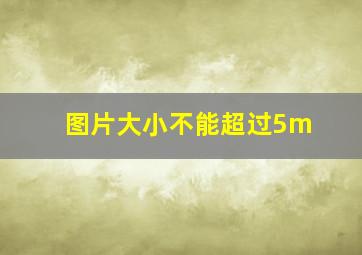 图片大小不能超过5m