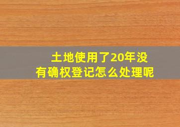 土地使用了20年没有确权登记怎么处理呢