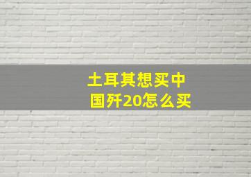 土耳其想买中国歼20怎么买