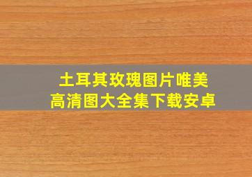 土耳其玫瑰图片唯美高清图大全集下载安卓