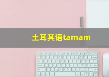 土耳其语tamam