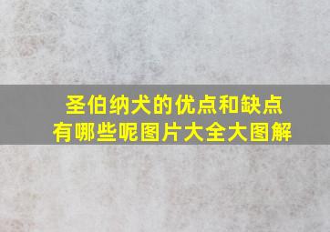 圣伯纳犬的优点和缺点有哪些呢图片大全大图解