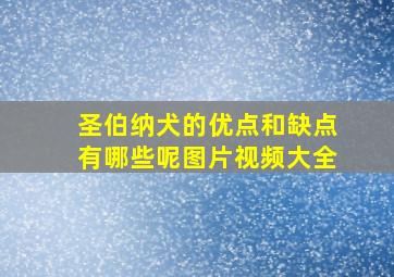 圣伯纳犬的优点和缺点有哪些呢图片视频大全