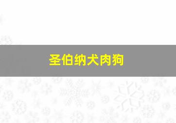 圣伯纳犬肉狗