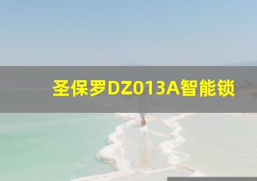 圣保罗DZ013A智能锁