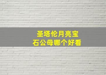 圣塔伦月亮宝石公母哪个好看