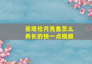 圣塔伦月亮鱼怎么养长的快一点视频