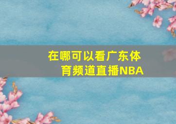 在哪可以看广东体育频道直播NBA