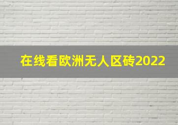 在线看欧洲无人区砖2022