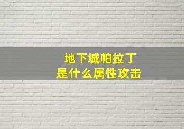 地下城帕拉丁是什么属性攻击