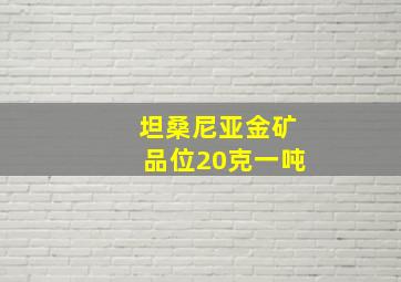 坦桑尼亚金矿品位20克一吨