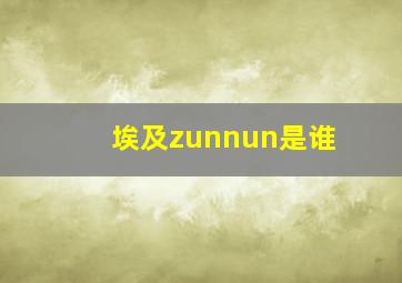 埃及zunnun是谁