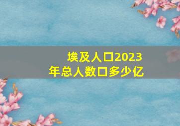 埃及人口2023年总人数口多少亿