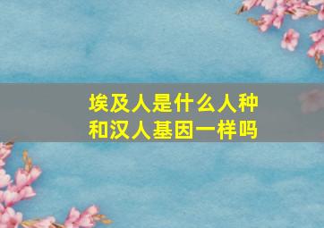 埃及人是什么人种和汉人基因一样吗