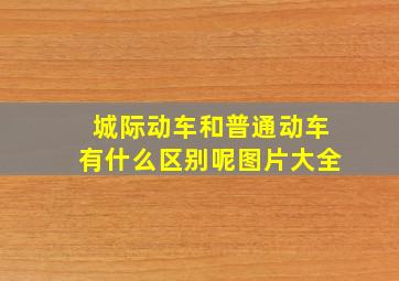 城际动车和普通动车有什么区别呢图片大全