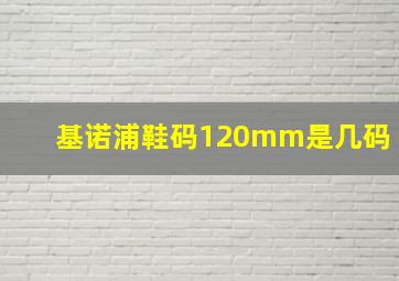 基诺浦鞋码120mm是几码