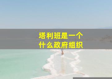 塔利班是一个什么政府组织