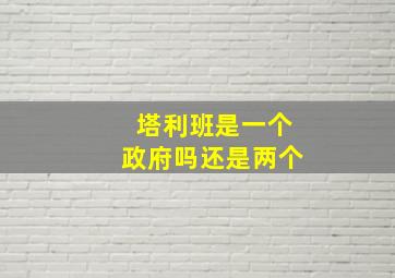 塔利班是一个政府吗还是两个