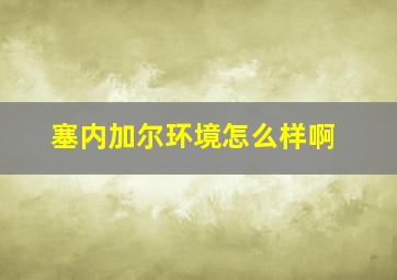 塞内加尔环境怎么样啊