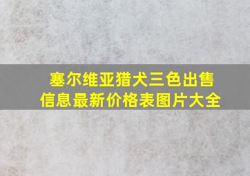 塞尔维亚猎犬三色出售信息最新价格表图片大全