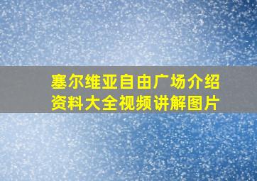 塞尔维亚自由广场介绍资料大全视频讲解图片