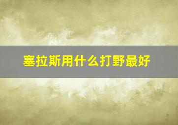 塞拉斯用什么打野最好