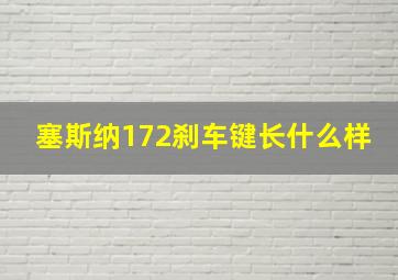 塞斯纳172刹车键长什么样