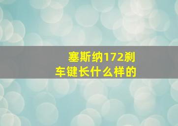 塞斯纳172刹车键长什么样的