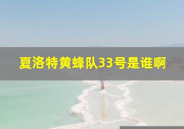 夏洛特黄蜂队33号是谁啊