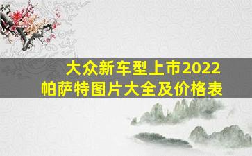 大众新车型上市2022帕萨特图片大全及价格表