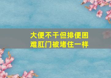 大便不干但排便困难肛门被堵住一样