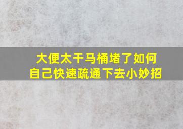 大便太干马桶堵了如何自己快速疏通下去小妙招