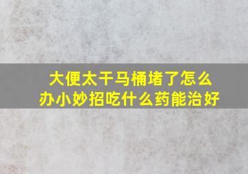 大便太干马桶堵了怎么办小妙招吃什么药能治好