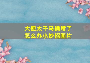 大便太干马桶堵了怎么办小妙招图片