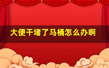 大便干堵了马桶怎么办啊