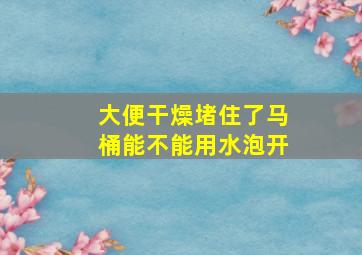 大便干燥堵住了马桶能不能用水泡开