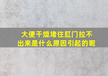 大便干燥堵住肛门拉不出来是什么原因引起的呢