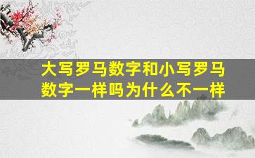 大写罗马数字和小写罗马数字一样吗为什么不一样